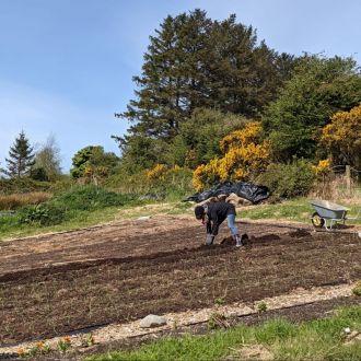Sandra replanting in Poppa Dom's Field: All done though regenerative horticulture to leave behind a more fertile and abundant land than is here today