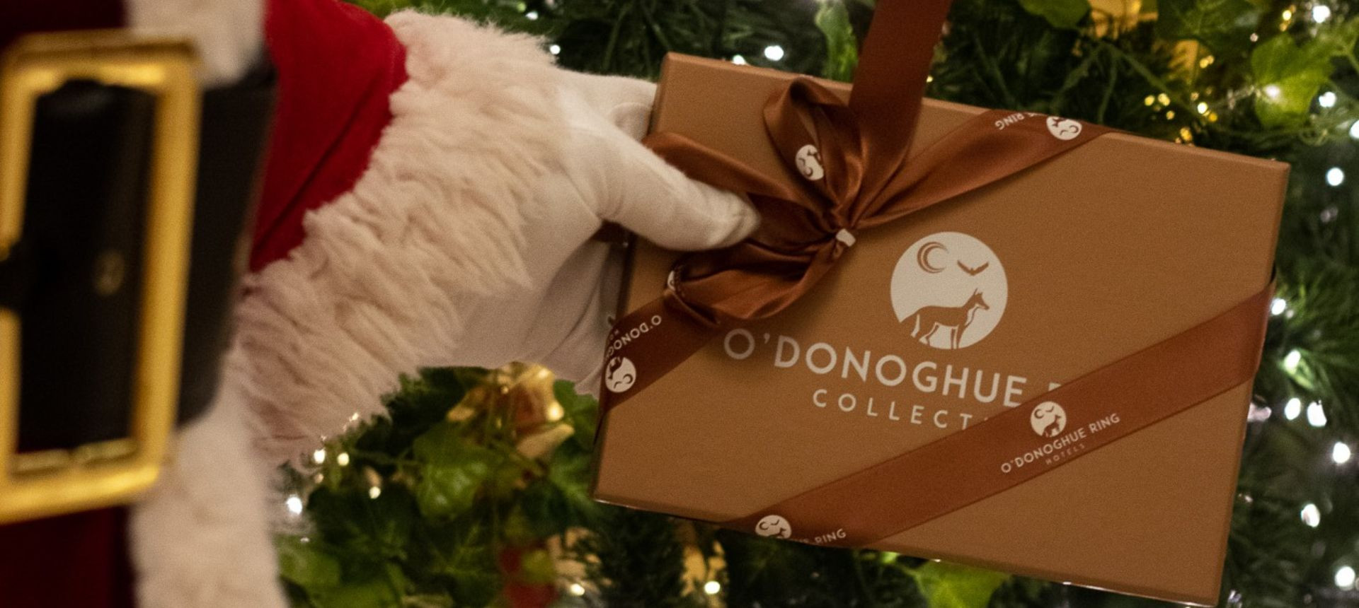 Odonoghue ring collection gift voucher www.odrcollection.com