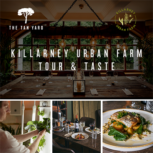killarney urban farm tour and taste520px