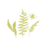 Our Green Way Logo