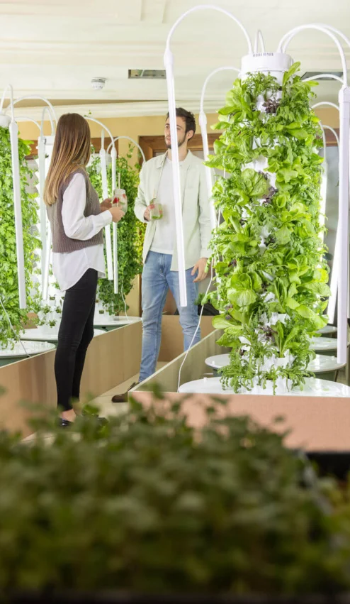 Group enjoying vertical garden indoors at hotel resort.