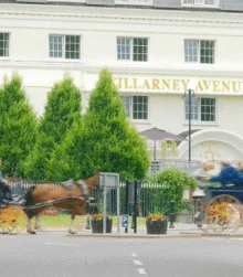 Family on horse-drawn carriage outside Killarney Avenue Hotel