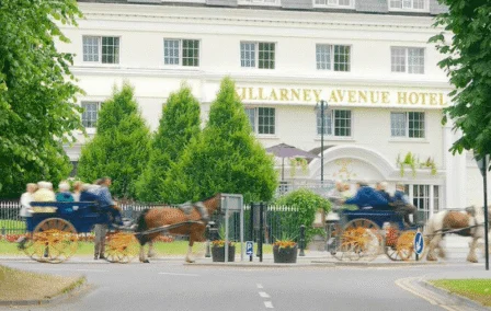 Family on horse-drawn carriage outside Killarney Avenue Hotel